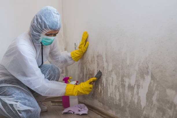 Best Mold Testing  in Orosi, CA
