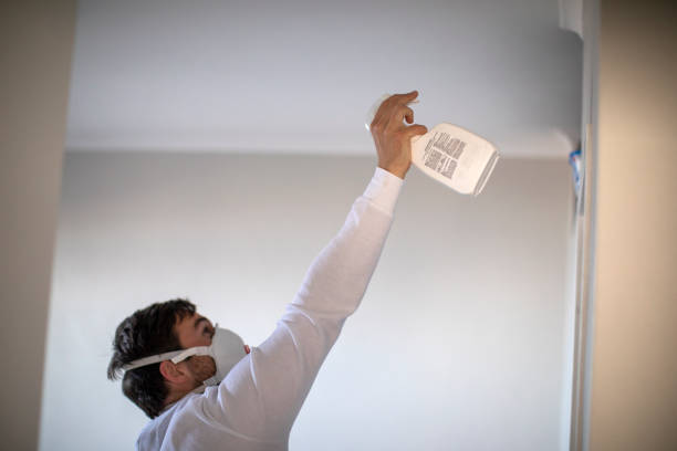 Certified Mold Removal in Orosi, CA