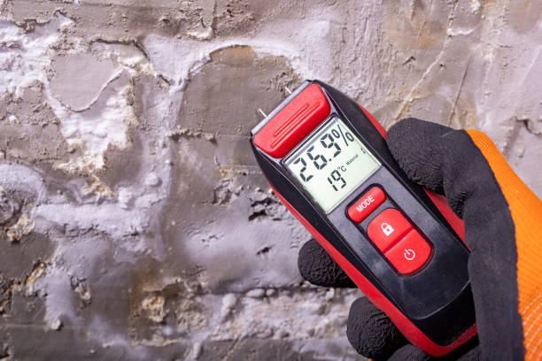 Best Commercial Mold Removal  in Orosi, CA