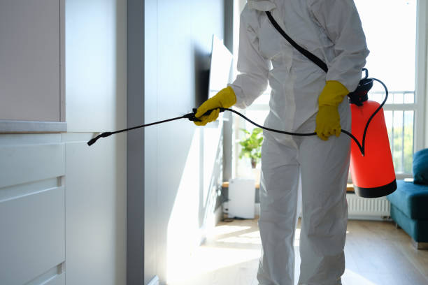 Best Mold Damage Repair  in Orosi, CA