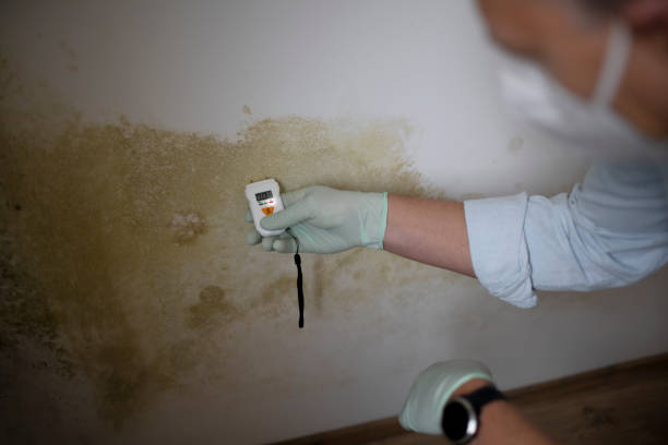 Best Mold Testing  in Orosi, CA