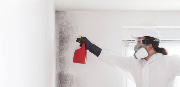 Best Mold Removal Process  in Orosi, CA