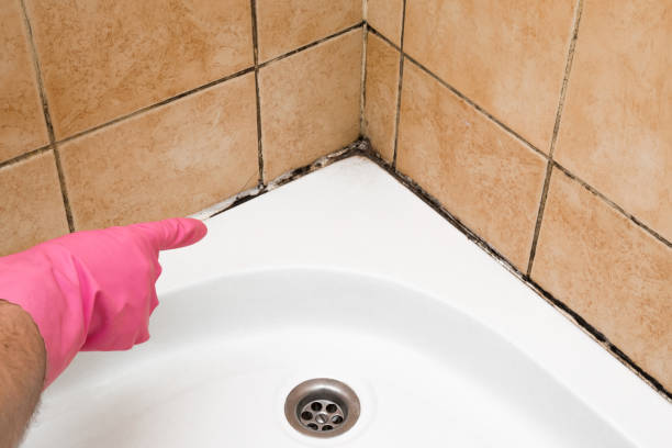 Orosi, CA Mold Removal Company